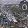 Родичі загиблих на борту MH17 закликають Кремль до співпраці зі слідством 