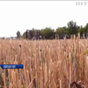 Напад на фермера на Одещині: поліція оголосила в розшук головного підозрюваного