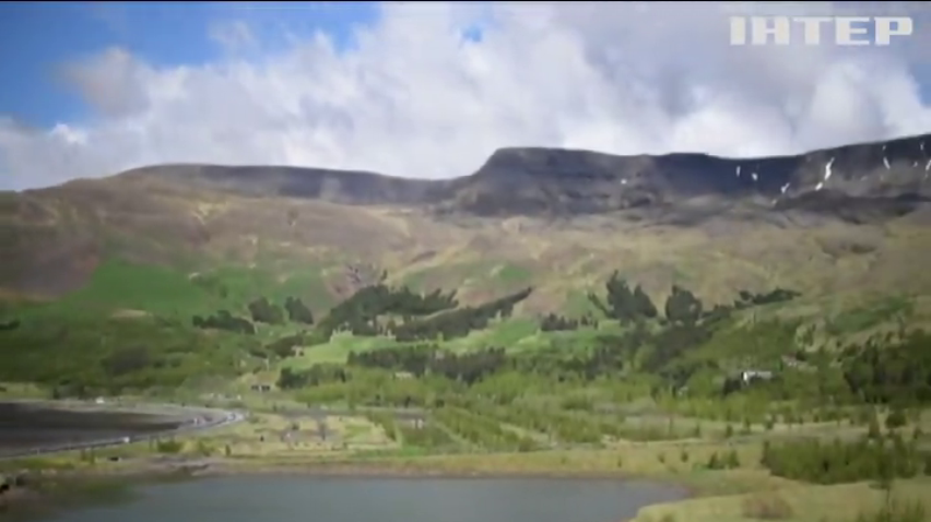 Влада Ісландії запровадила програму з відновлення лісів
