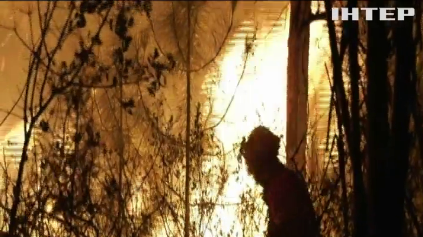 Лісові пожежі накоїли лиха у Португалії