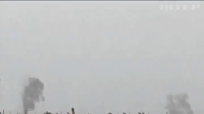 Небачений снігопад спантеличив кенгуру в Австралії (відео)