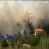 Грецький уряд закликає посилити боротьбу з лісовими пожежами