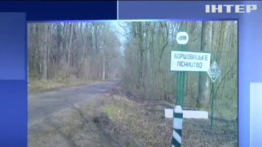 На Львівщині продовжують масово вирубувати дерева