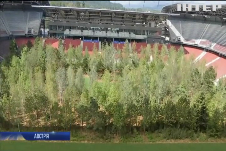 Швейцарець перетворив футбольне поле на ліс