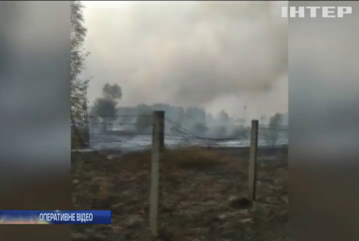 Підпал лісу у Чурнобилі: поліція затримала підозрювану