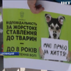 В Україні пройшли марші на підтримку тварин