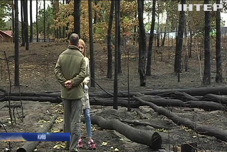 У Києві знищили парк поблизу метро "Лісова"