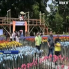 У філіппінському місті Ламітан відкрили сад із пластикових тюльпанів 