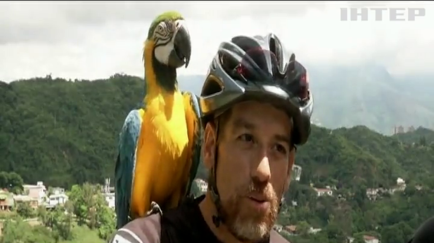Венесуелець катає папугу на велосипеді вулицями Каракаса