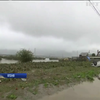 Тайфун у Японії забрав життя 67 людей