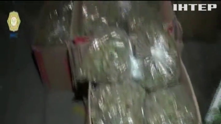 Тонни марихуани: поліція Мехіко викрила наркокартель
