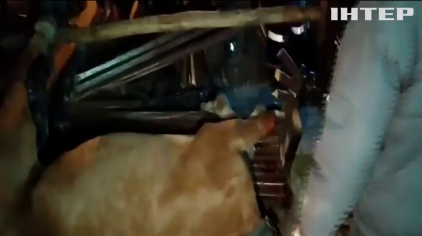 ПОДРОБНОСТИ за 2019-11-04 20:00