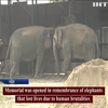 В Індії відкрили слонячий меморіал