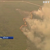 Австралія оголосила надзвичайний стан через масштабні пожежі