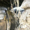 Війна на Донбасі: бойовики атакують позиції оборонців