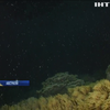На Великому Бар'єрному рифі Австралії почався нерест коралів