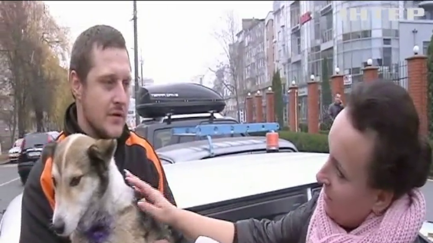 Мешканці Хмельницького вимагають покарати високопосадовця за жорстоке поводження з собакою