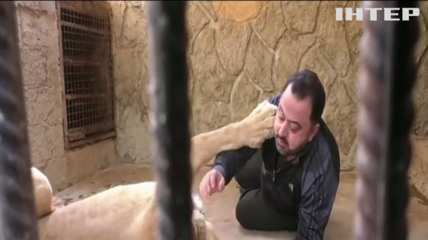 Житель Дамаска влаштував вдома притулок для хижаків