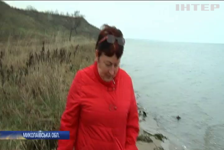 Під Миколаєвом на берег викинулися тисячі медуз