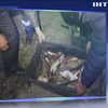На Київському водосховищі браконьєри напали на рибоохоронний патруль