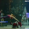 У Сеульському акваріумі підготували незвичайну програму до Різдва