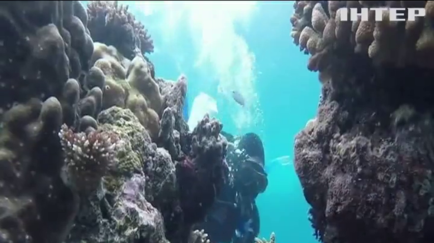 В Австралії рятують Великий бар'єрний риф
