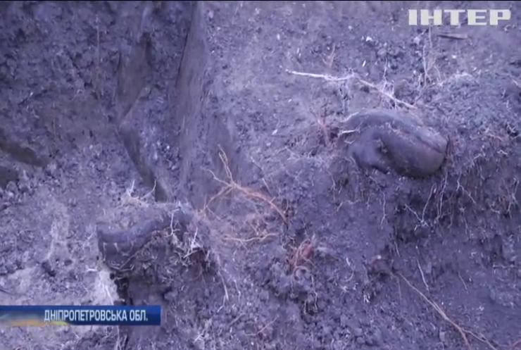 Дорожники підчас ремонту розкопали останки радянських воїнів