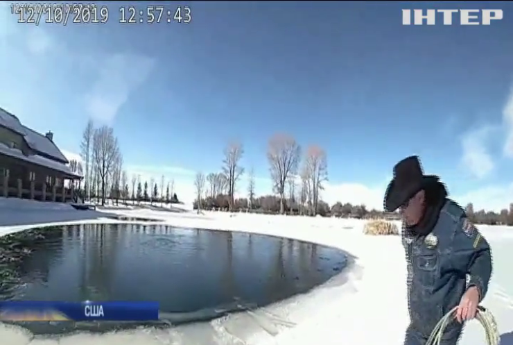 Поліцейські врятували оленя від водних процедур у озері