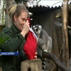 У зоопарку Лондона роздали різдвяні гостинці