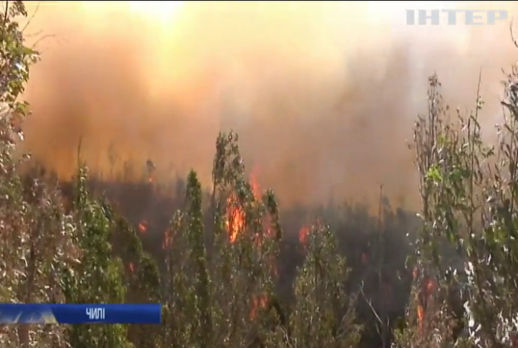 У Чилі лісові пожежі знищили десятки будинків