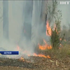 Пожежі у Австралії: вогнеборцям допомагають тисячі волонтерів