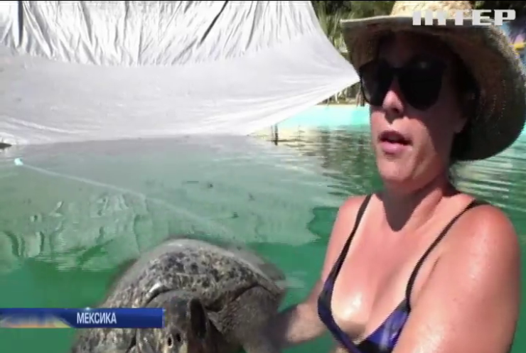 Мексиканці влаштували операцію з порятунку морських черепах