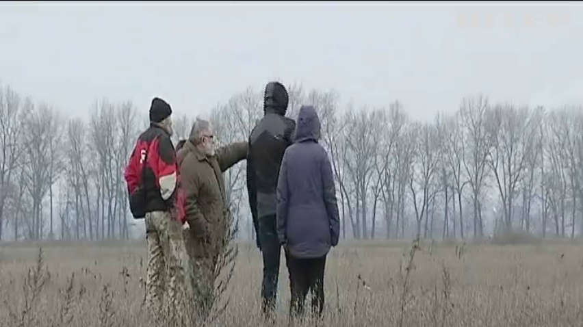 На Черкащині тракторами розорали прадавні кургани