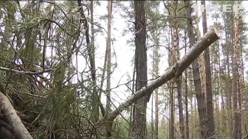 Знищення лісів у Харківській області: представники "Опозиційної платформи - за життя" намагаються завадити масштабній проблемі