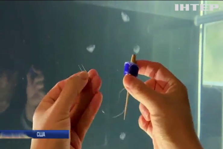 У США вчені оснастили медуз високотехнологічними протезами