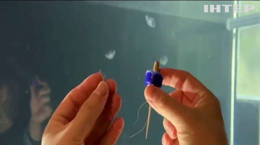 У світовий океан випустили медуз-кіборгів