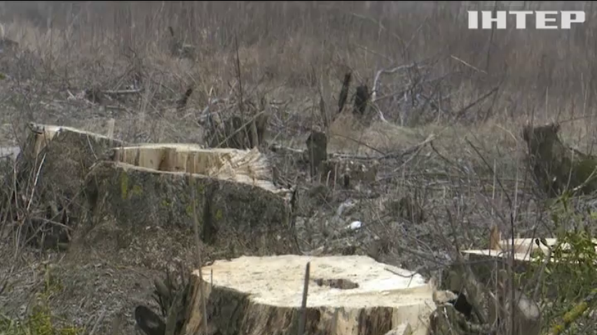 На Волині вирізали живописний Олицький тунель