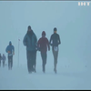 Антарктидою пробігли десятки марафонців