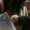На Київщині затримали громадянина із мішками з канабісом