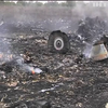 Катастрофа Boeing: Нідерланди відмовили Москві у праві судити винних
