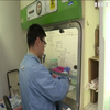 Китайський коронавірус: смертність сягнула рекордних показників