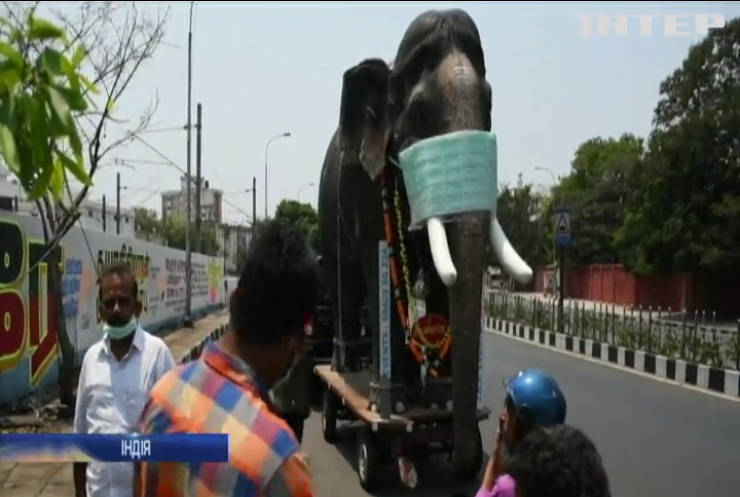 Індійці вдягли на скульптуру слона маску для боротьби з коронавірусом