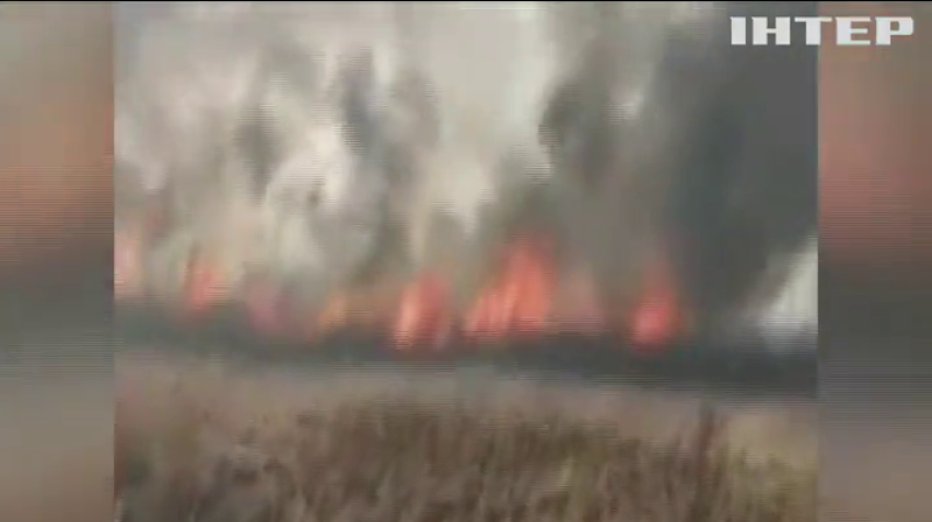В Україні зафіксували понад 500 пожеж за добу