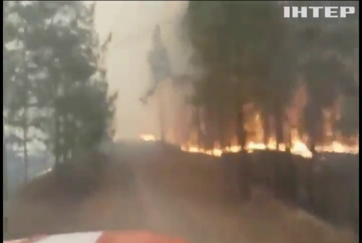 У Чорнобильській зоні триває боротьба з масштабними лісовими пожежами