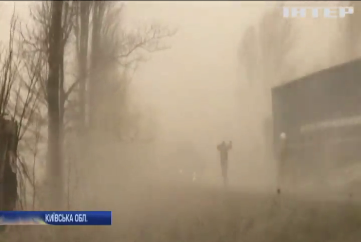 Через потужну пилову бурю на Київщині сталася масштабна ДТП