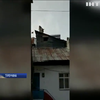 У турецькому селі корова залізла на дах будинку