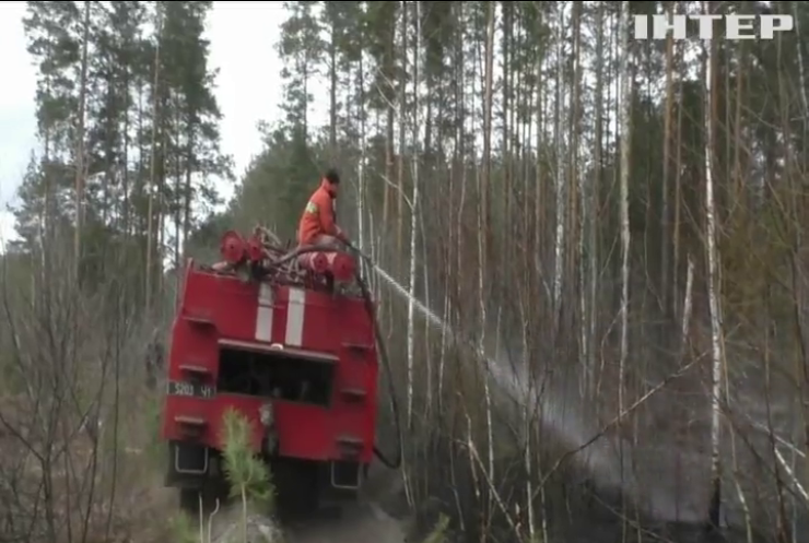 Пожежі в Україні: рятувальники "пробили" 125 кілометрів доріг у дрімучих лісах