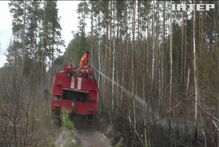 Лісам Житомирської області загрожує нова масштабна пожежа