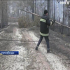 Рятувальники борються з лісовим пожежами по всій Україні