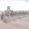 Мінекономіки знизило прогноз врожаю зернових в Україні